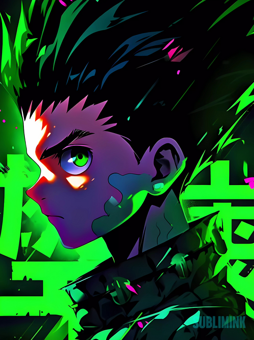 HunterXHunter · Roy
